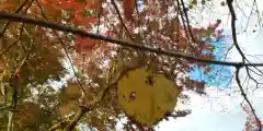 梨木神社(京都府)