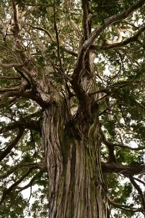 神門寺(島根県)