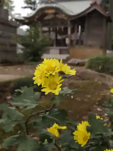 岩井八坂神社の自然