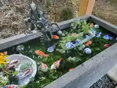 下野 星宮神社の手水