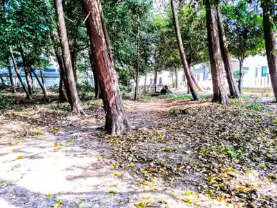 諏訪神社の周辺