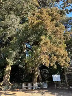 鎌数伊勢大神宮(千葉県)