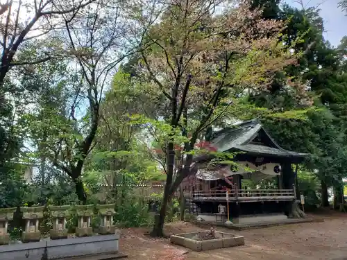 星宮神社の建物その他