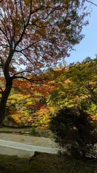 神護寺(京都府)