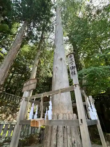 諏訪大社(長野県)