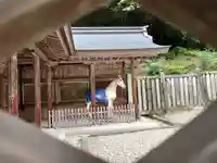 伊奈波神社(岐阜県)