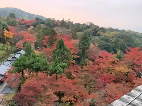 清水寺の景色