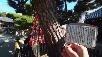 葛井寺のその他建物