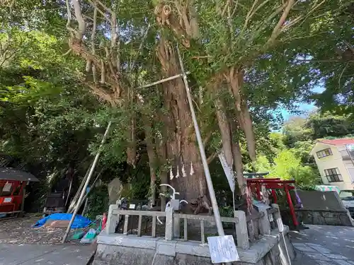 海南神社(神奈川県)