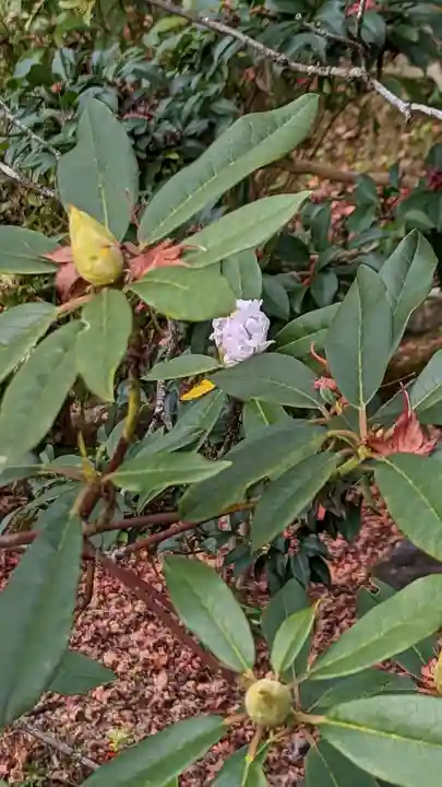 三室戸寺(京都府)