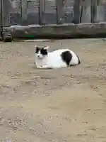 鎌数伊勢大神宮(千葉県)