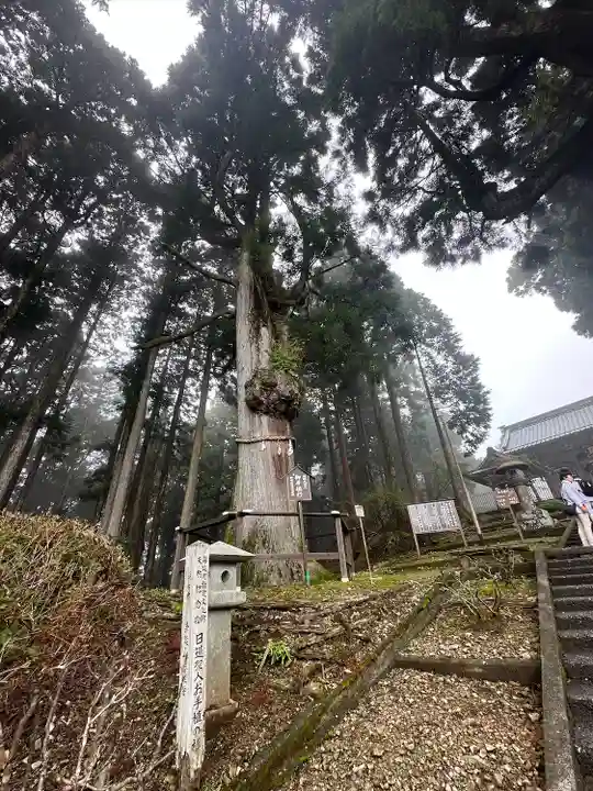 身延山奥之院思親閣(山梨県)