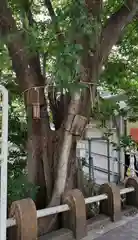 太田姫稲荷神社跡（一口神社）の自然