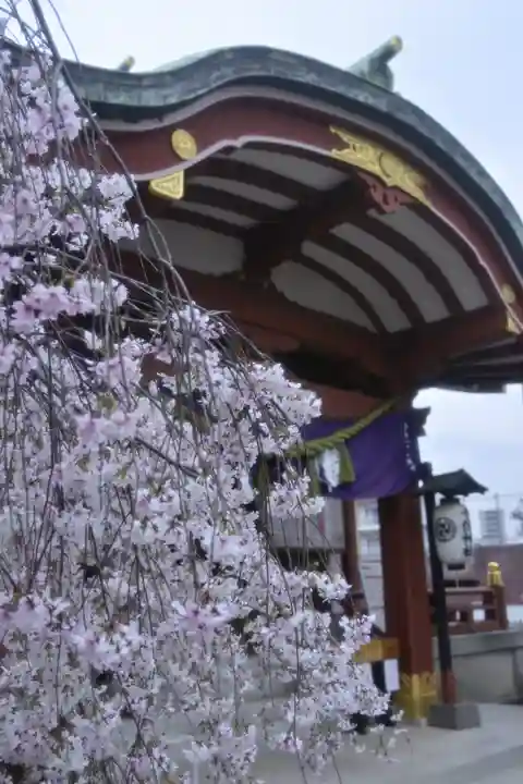 千住神社(東京都)