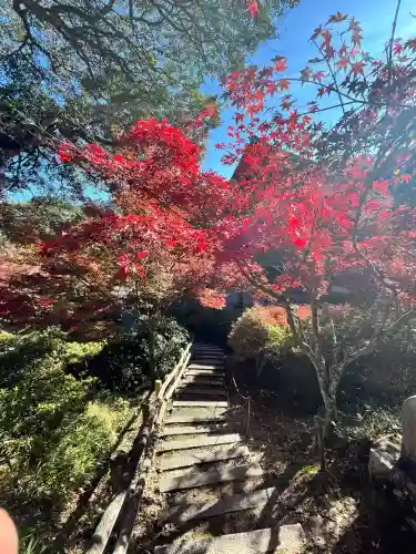 常樂寺(滋賀県)