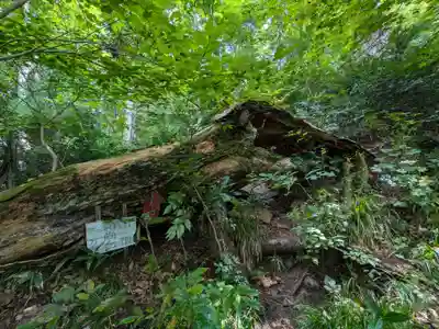 迦葉山龍華院弥勒護国寺（弥勒寺）(群馬県)