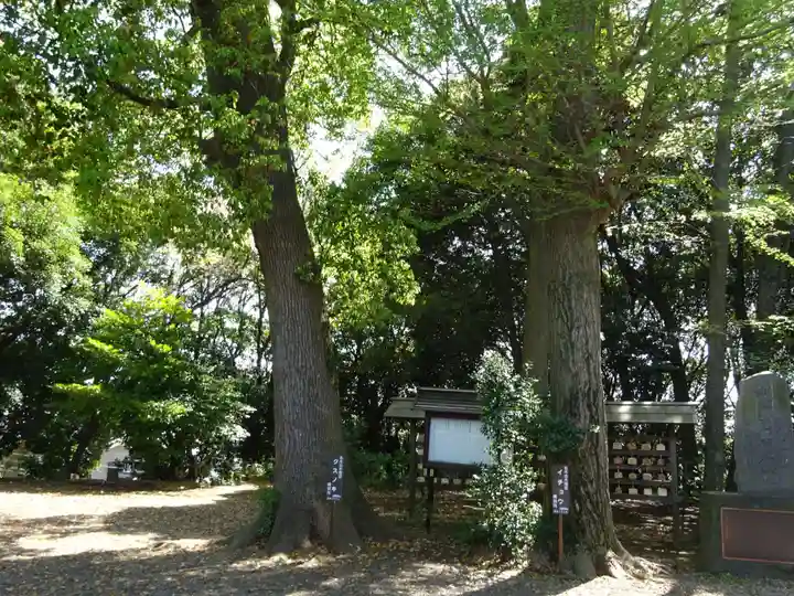 篠原八幡神社(神奈川県)