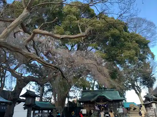 三島八幡神社の庭園