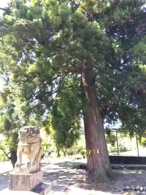 日枝神社(富山県)