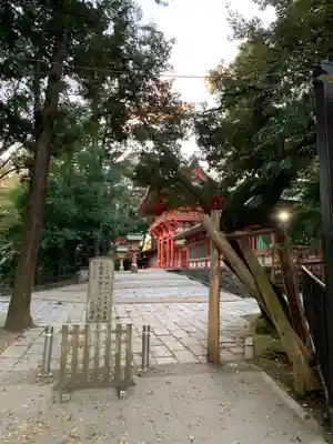 武蔵一宮氷川神社の本殿・本堂