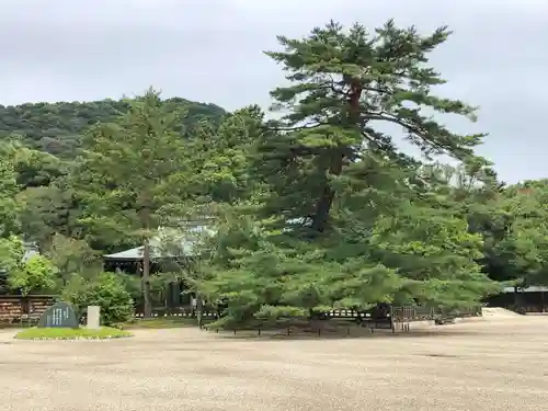 橿原神宮の景色