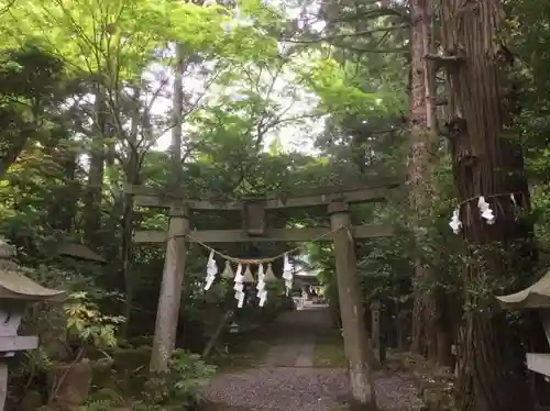 五所駒瀧神社の鳥居