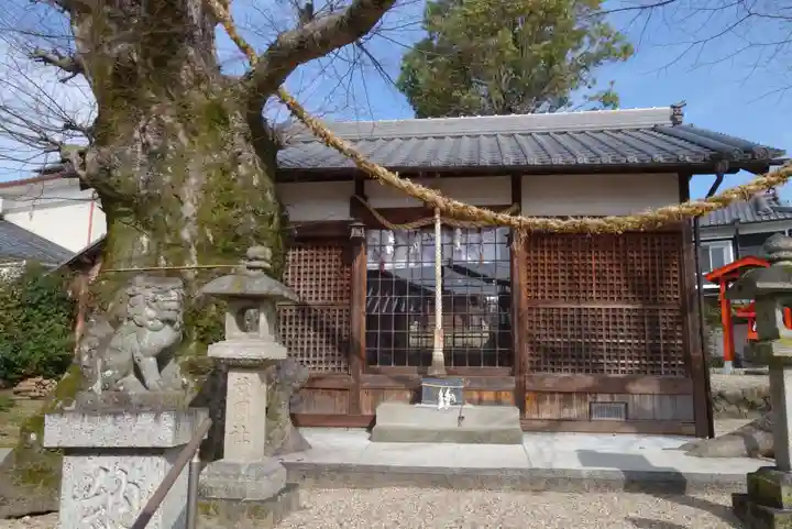 素戔嗚神社(大神神社境外末社)の本殿・本堂