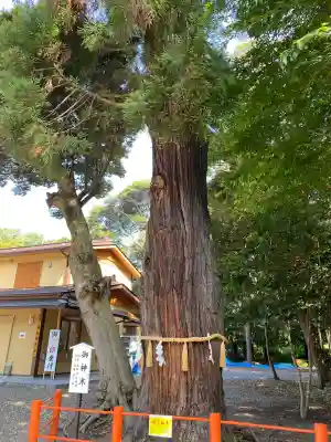 息栖神社(茨城県)