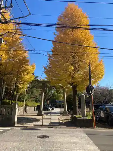 稲毛神社(神奈川県)