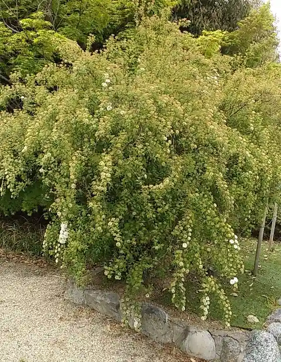 比佐豆知神社(三重県)