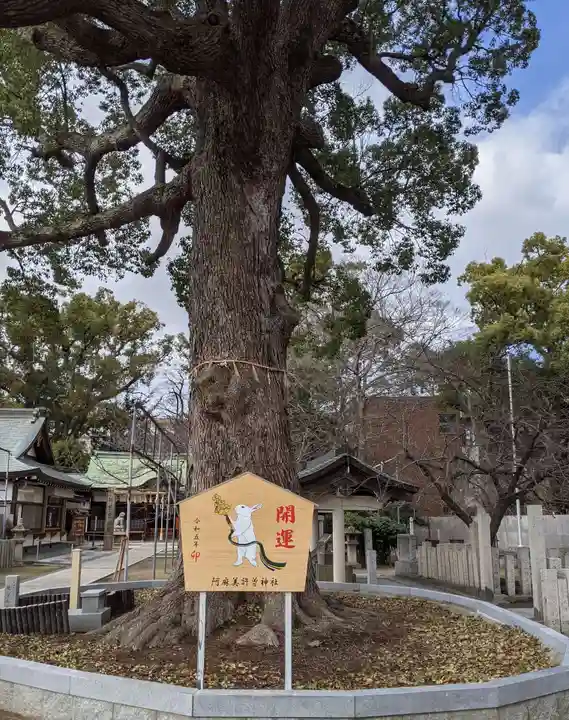 阿麻美許曽神社の自然