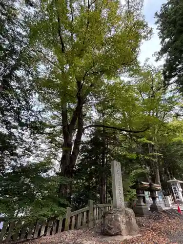 諏訪大社下社秋宮(長野県)