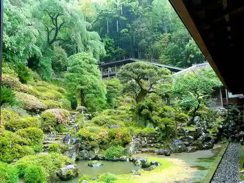 臨済寺の庭園