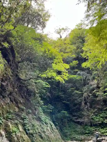 元伊勢天岩戸神社(京都府)