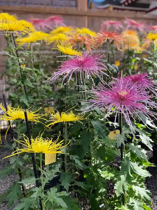 亀戸天神社のその他建物