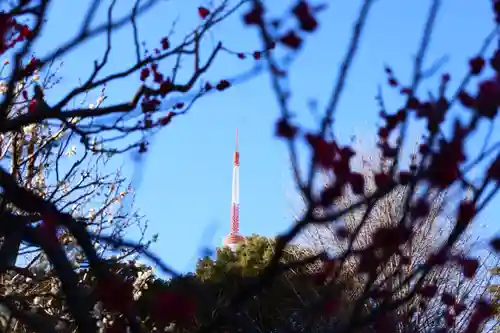 増上寺塔頭 三縁山 宝珠院(東京都)