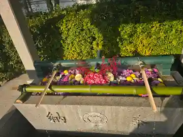 伊和志津神社の{uncategorized: "未分類", other: "その他", undefined: "問題あり", building: "その他建物", grave: "お墓", sacred_gate: "鳥居", guardian: "狛犬", statue: "像", buddha: "仏像", history: "歴史", nature: "自然", garden: "庭園", animal: "動物", pagoda: "塔", temizu: "手水舎", mountain_gate: "山門・神門", sanctuary: "本殿・本堂", subordinate: "末社・摂社", art: "芸術", scenery: "景色", jizo: "地蔵", ema: "絵馬", goshuin: "御朱印", omikuji: "おみくじ", items: "授与品その他", amulet: "お守り", goshuincho: "御朱印帳", eats: "食事", festival: "お祭り", votive_dance: "神楽", shichigosan: "七五三参", wedding: "結婚式", experience: "体験その他", initially: "初詣", around: "周辺", anti_infection: "感染症対策"}