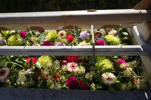 豊景神社の手水舎