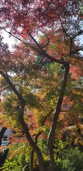 香取神社の自然