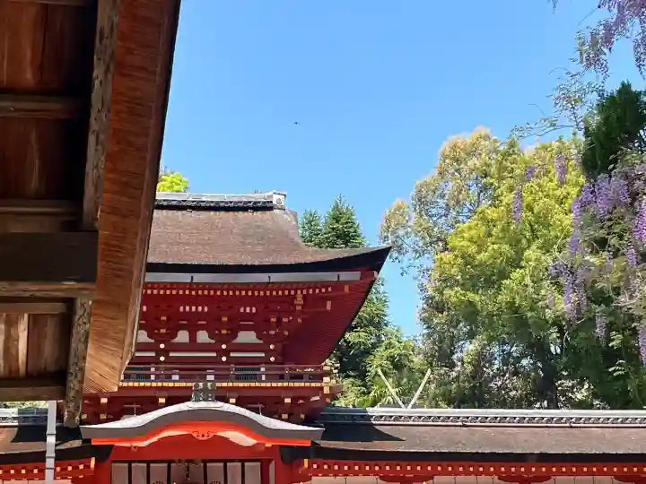 春日大社(奈良県)