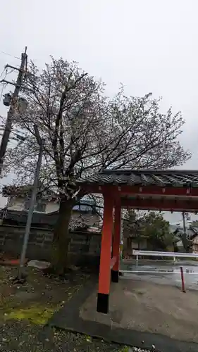 樫本神社（大原野神社境外摂社）(京都府)
