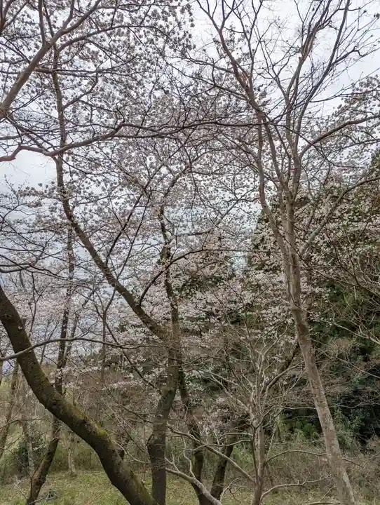 勝持寺(花の寺)(京都府)