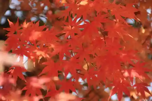 豊景神社の自然