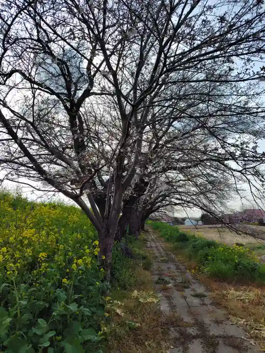 大塚諏訪神社 (埼玉県)