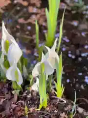 鹿島大神宮(福島県)