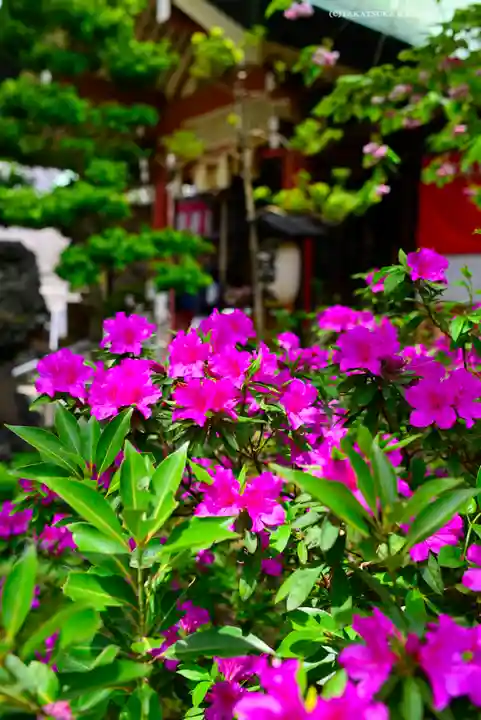 江東天祖神社(東京都)