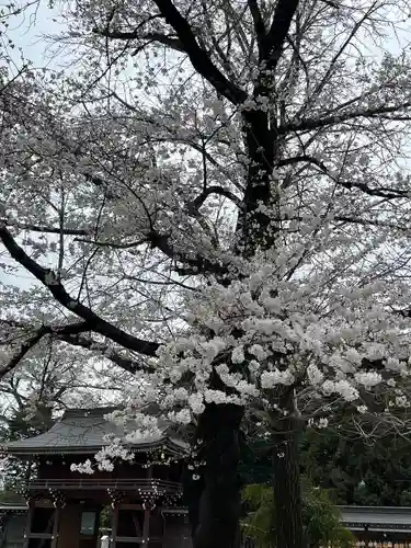 諏訪神社のその他建物