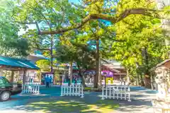 猿田彦神社(三重県)