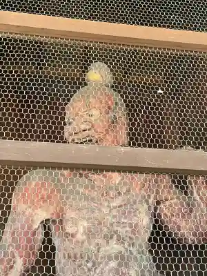 弘明寺(神奈川県)