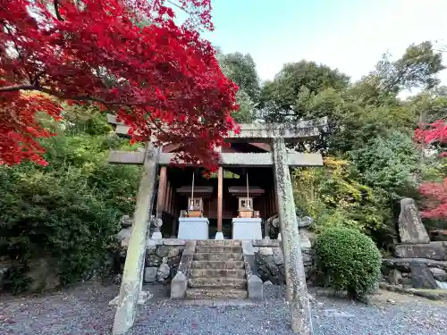 光明寺（粟生光明寺）(京都府)